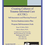 Creating Cultures of Trauma Informed Care (CCTIC)