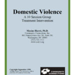 Domestic Violence: A Leader's Guide